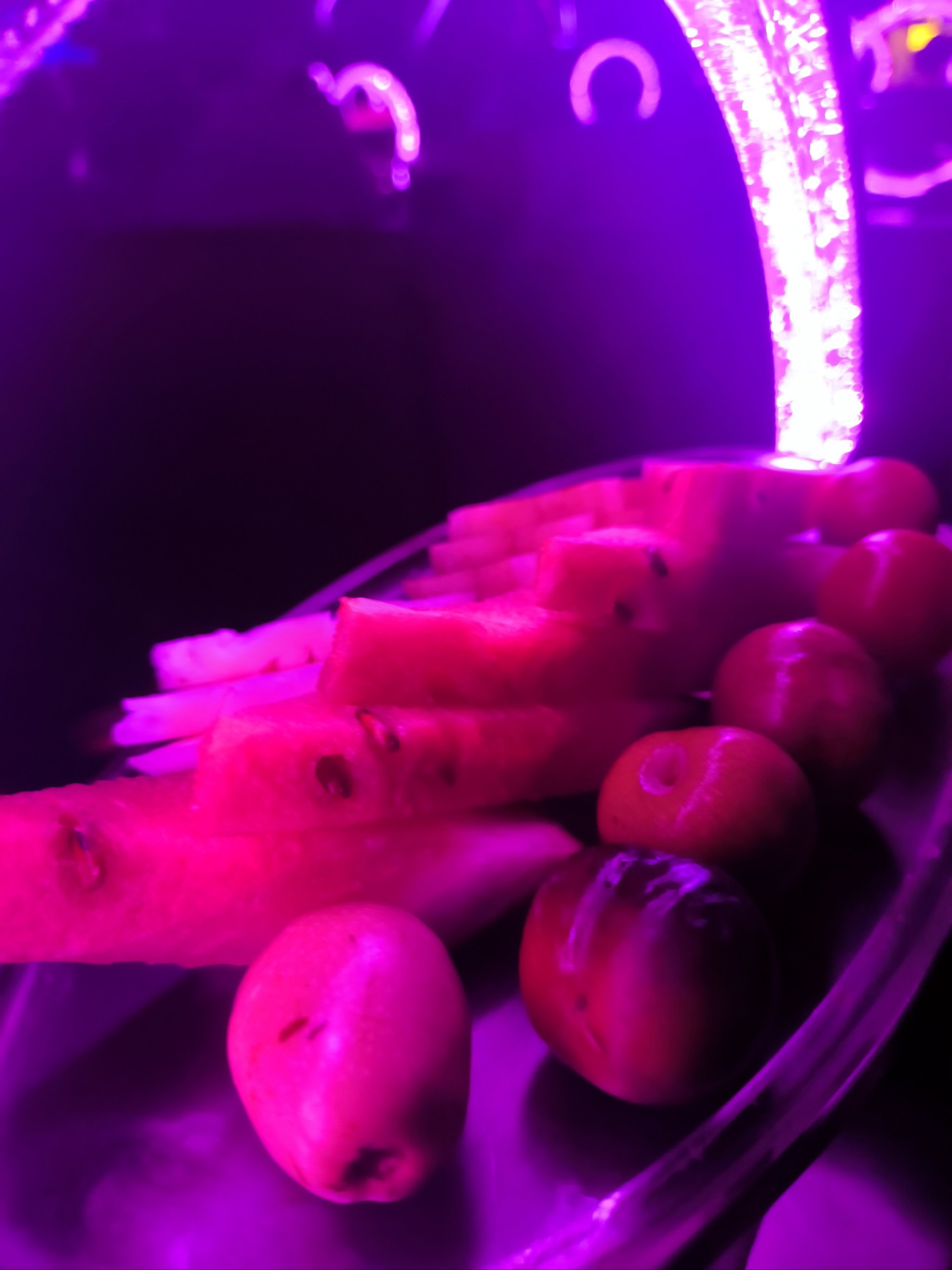 阳江商务KTV订房指南-江城区ktv预定